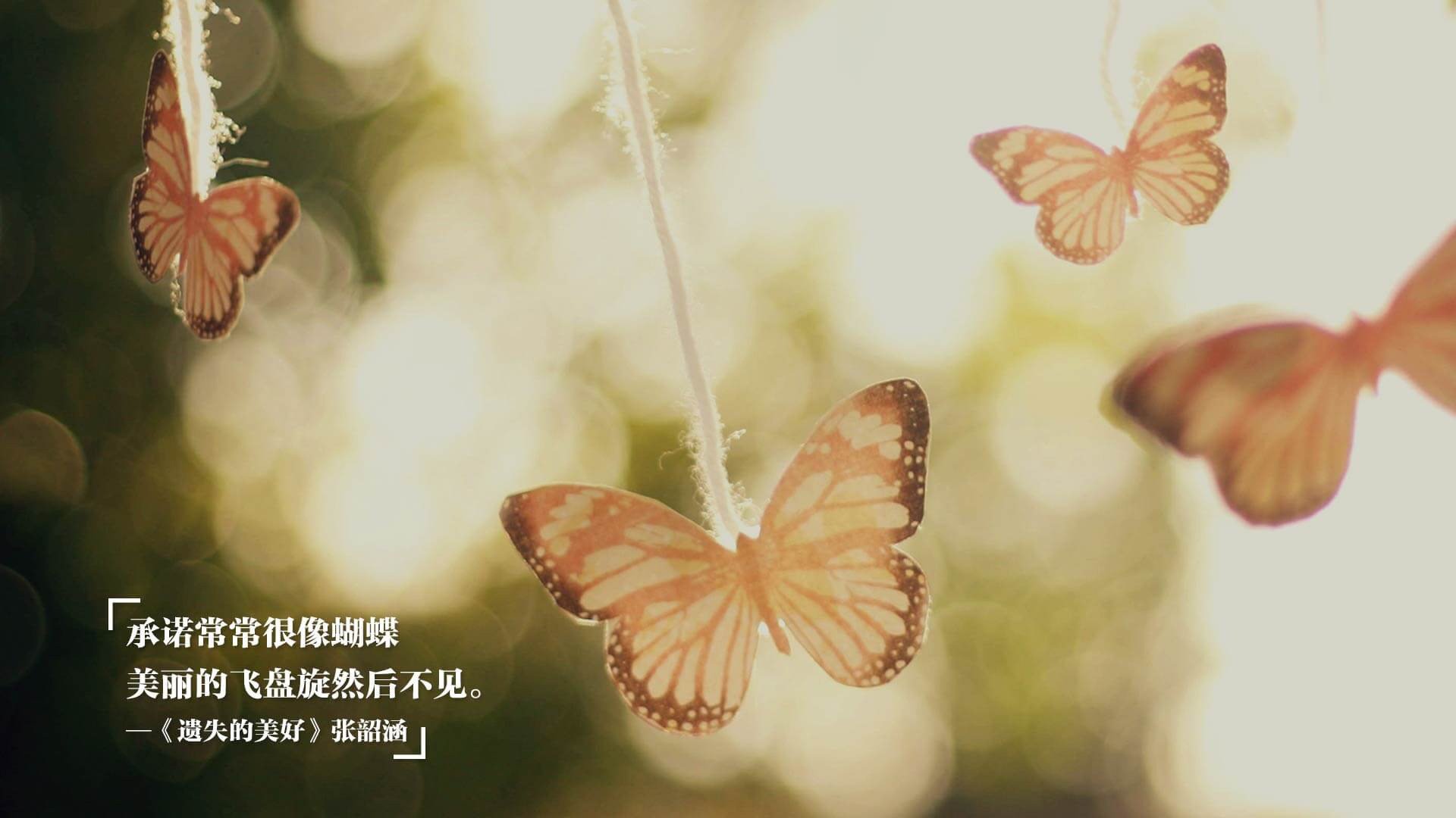 碳纤维之弦,当瑞典冰刃切开法兰西铠甲,听张继科球拍上的时代颤音