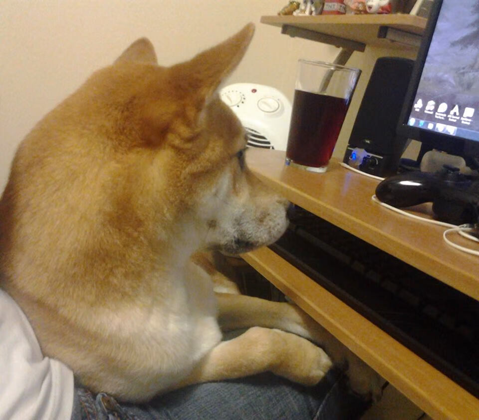 开云体育APP下载-当潘帕斯雄鹰掠过爱琴海，卡拉斯科数据炸弹引爆澳希之战