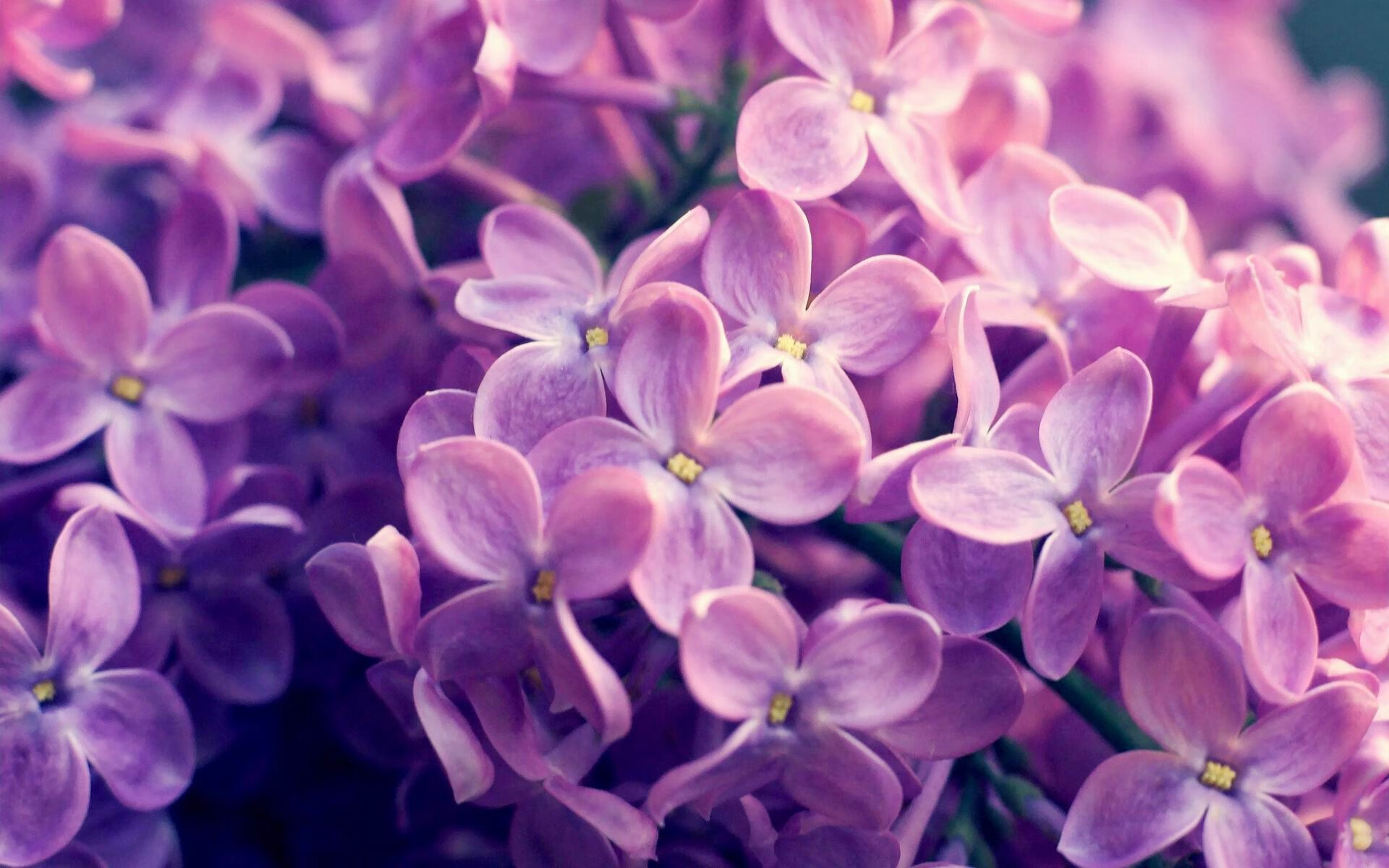 开云体育登录-熔岩黄与钢铁红，2026世界杯，安哥拉如何在沸腾的罗安达之夜淘汰莱比锡红牛