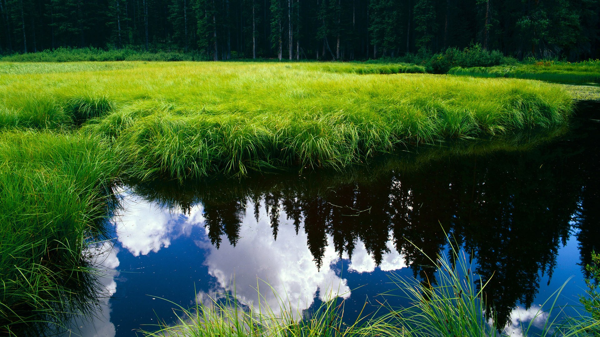 开云体育-NBA单日双星闪耀，热火单节风暴击溃掘金，西亚卡姆生涯之夜改写纪录