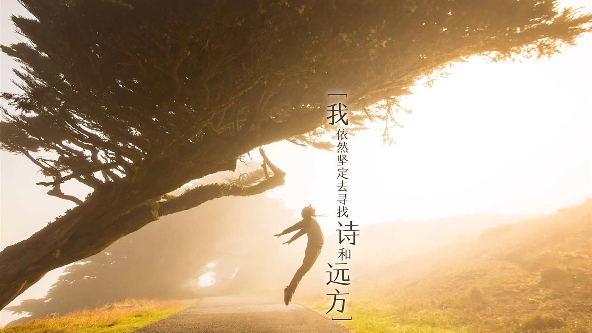 无声处听惊雷，当凯恩的沉默，化为墨西哥人收割塞维利亚的镰刀