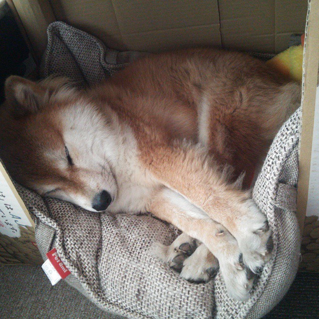 开云体育官网-平行宇宙交汇夜，广东绝境逢生与字母哥的救赎之路