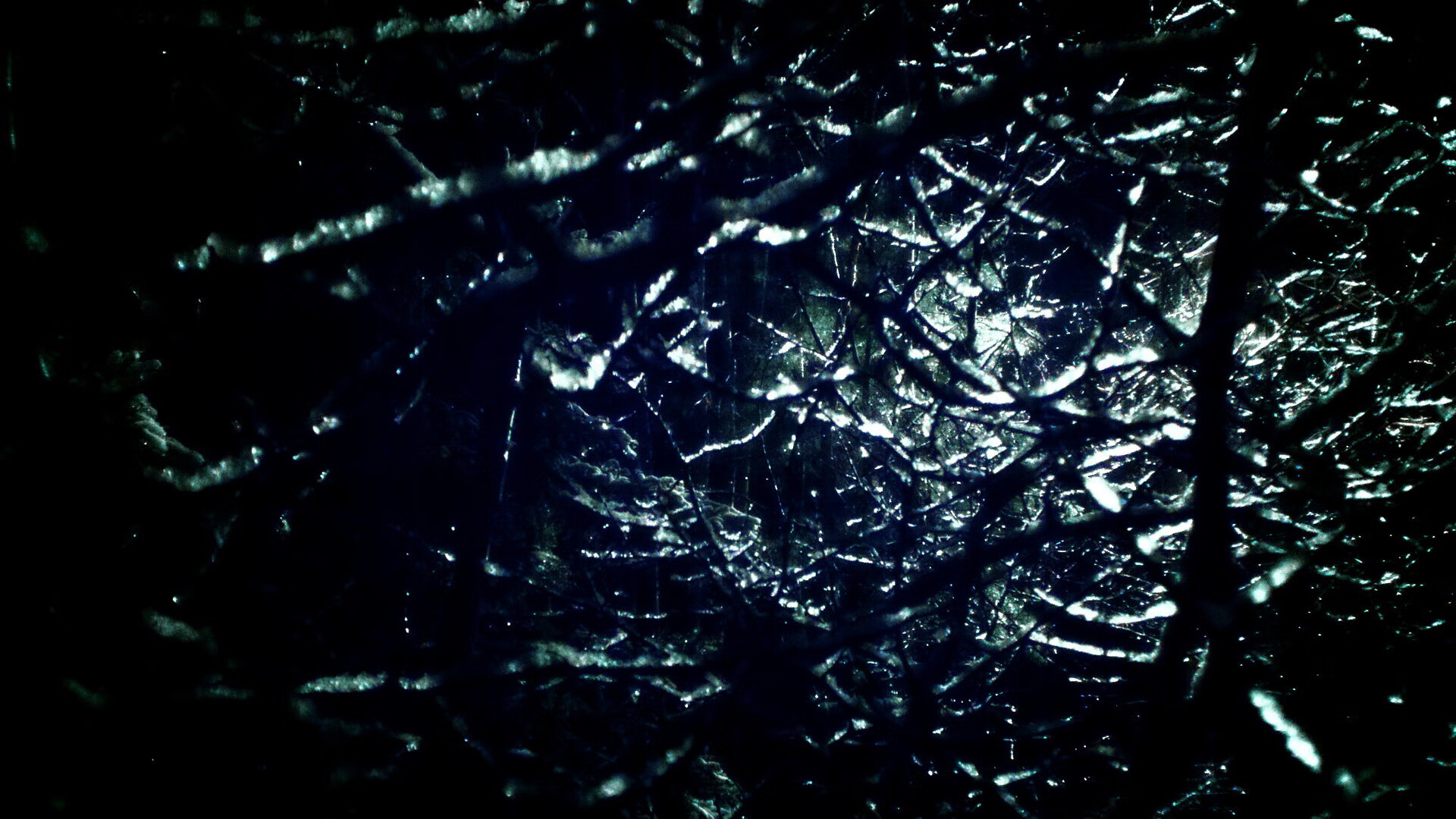 临界点的光，维斯塔潘与约基奇，如何定义带走比赛