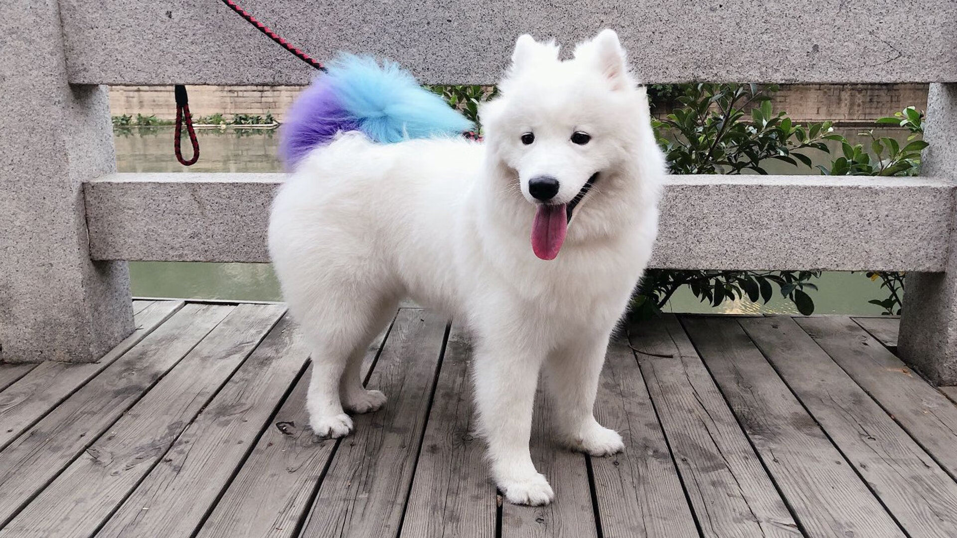 开云体育app-国家德比遇上跨文化胜利，足球场上的文明交融