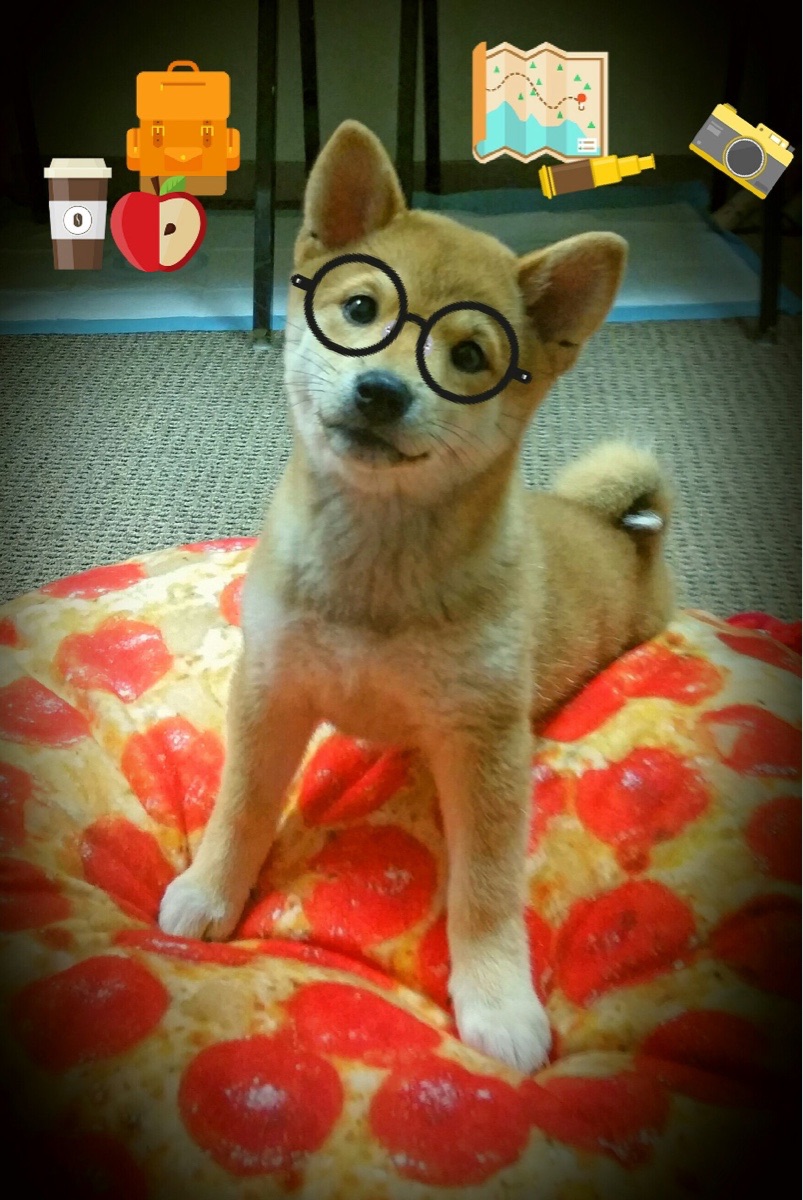 勇士军刀劈开血月之夜，爱德华兹用一记沉默终结所有质疑