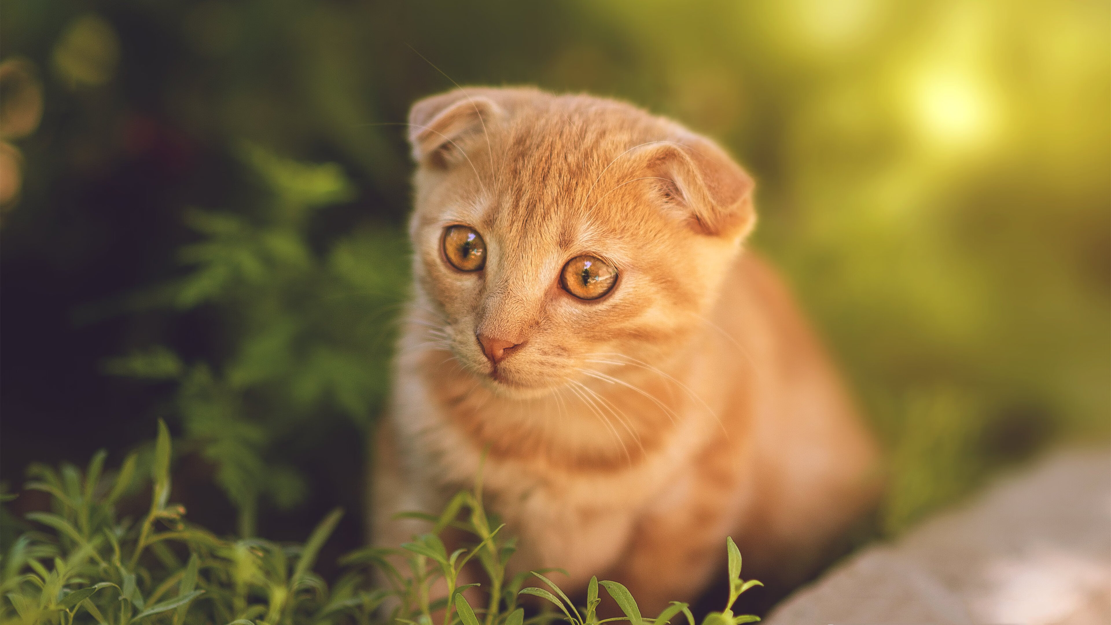 裁判哨声的叹息，奥纳纳东决关键战一手掌控比赛走势