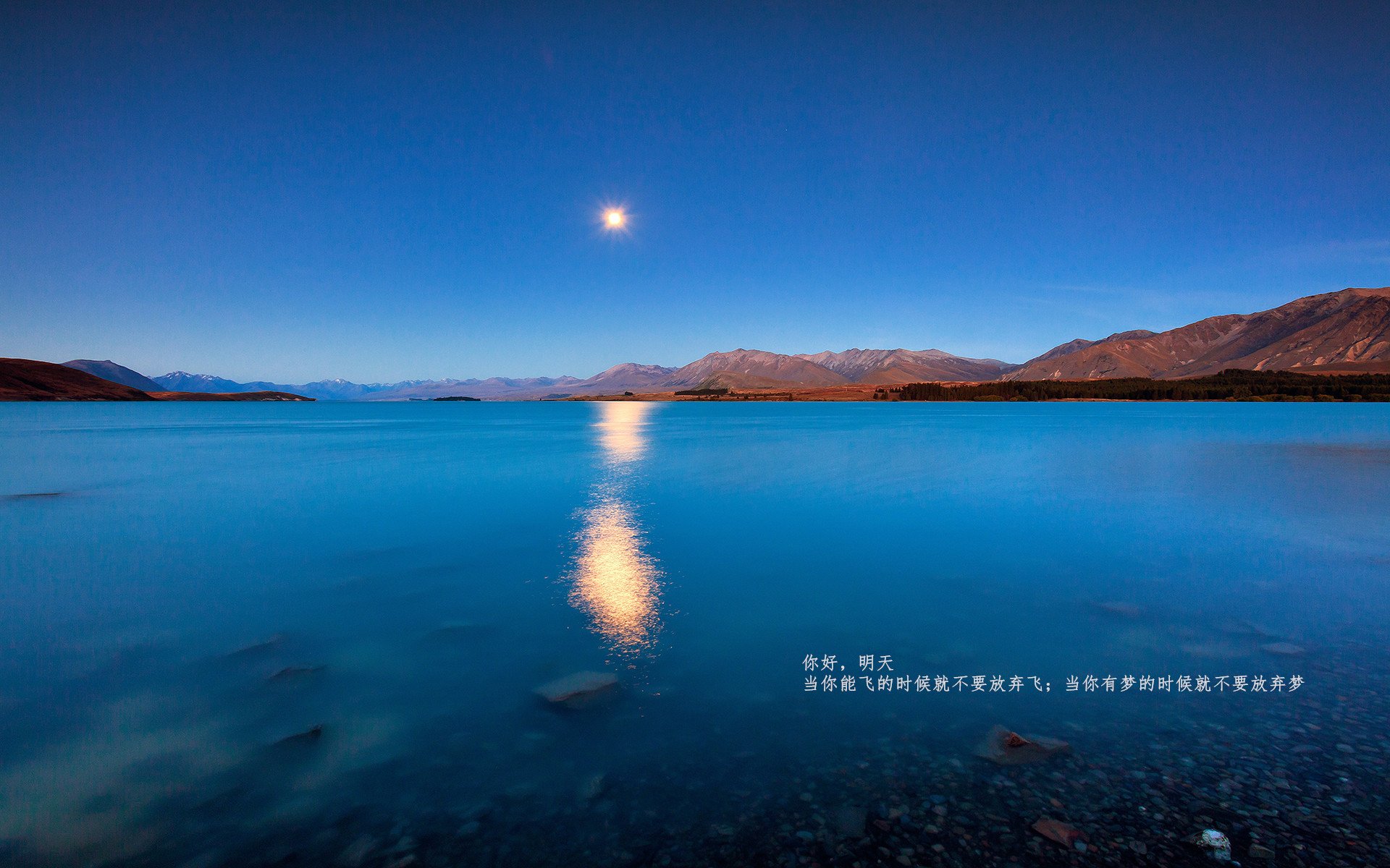 弗洛伦蒂诺的意外之作，当弗拉霍维奇在伯纳乌杯统治攻防两端