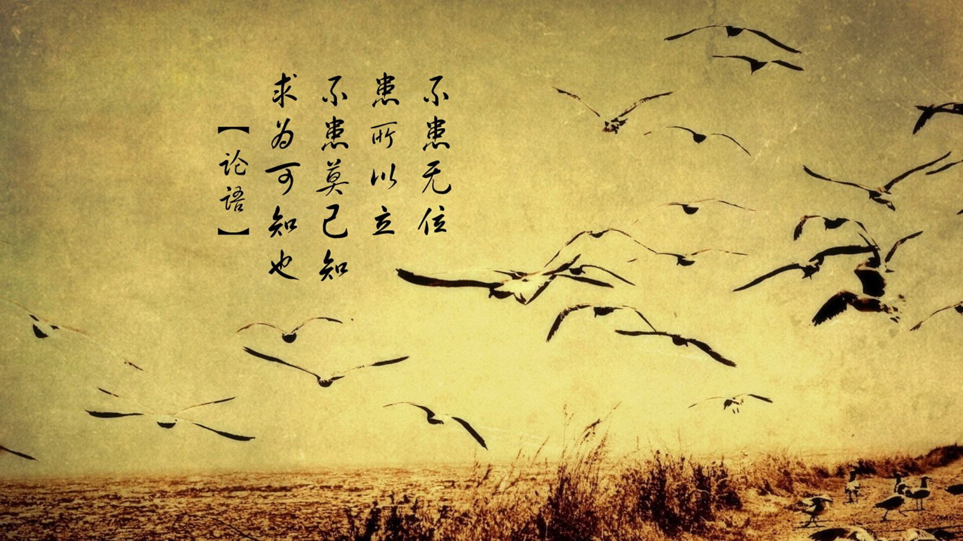 开云体育入口-繁星不问赶路人，论梅西的丰碑与雷恩的炬火