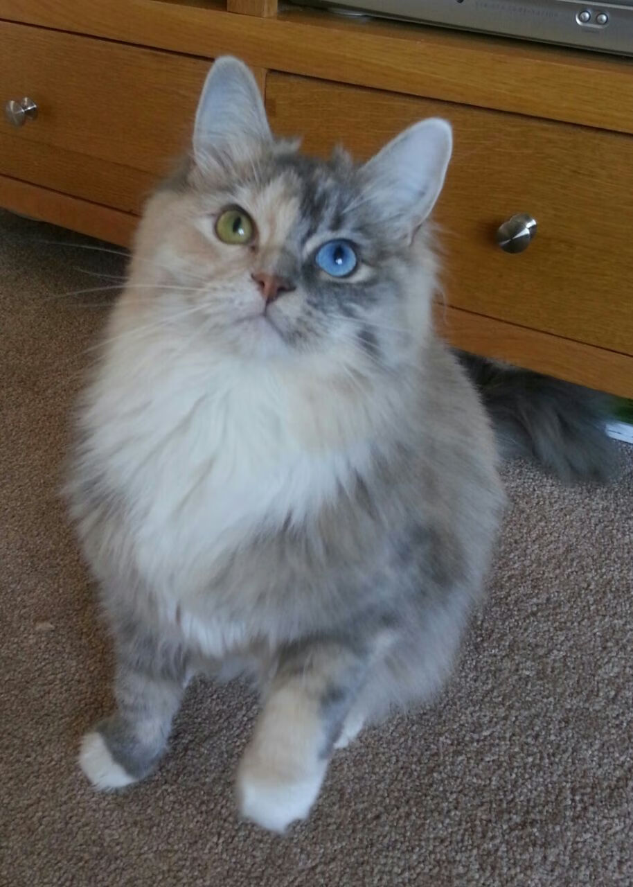 黄喜灿，一锤定音！巴拉圭读秒绝杀摩洛哥，亚洲之光再显英雄本色