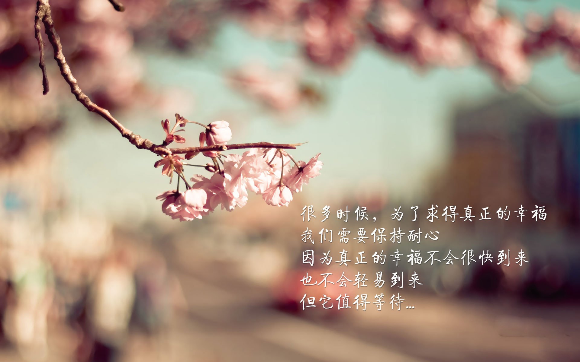 独步天下，2026世界杯A组焦点战，哥伦比亚力克摩洛哥，C罗用不朽传奇定义唯一性