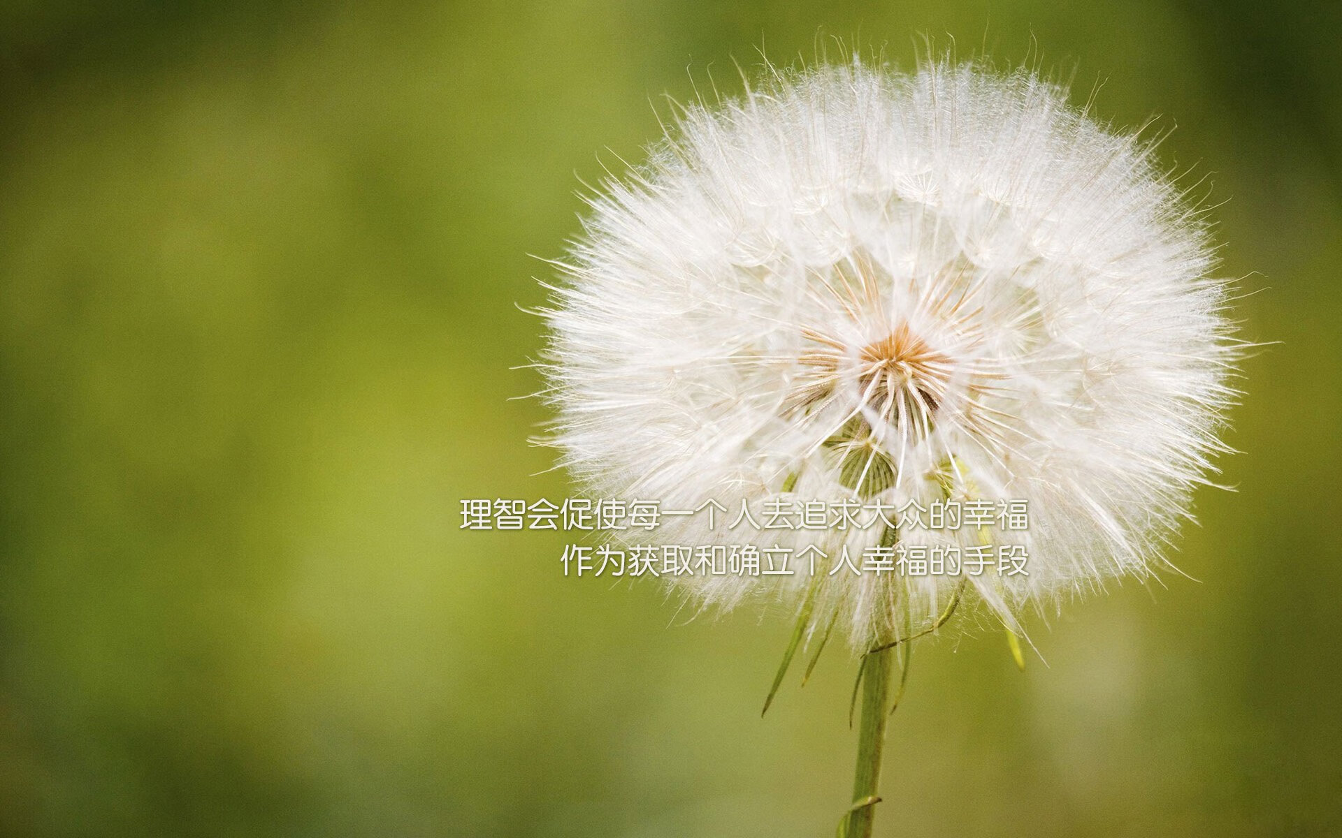 沙暴中的樱花与航海者，2026世界杯E组，一场被门将书写的史诗