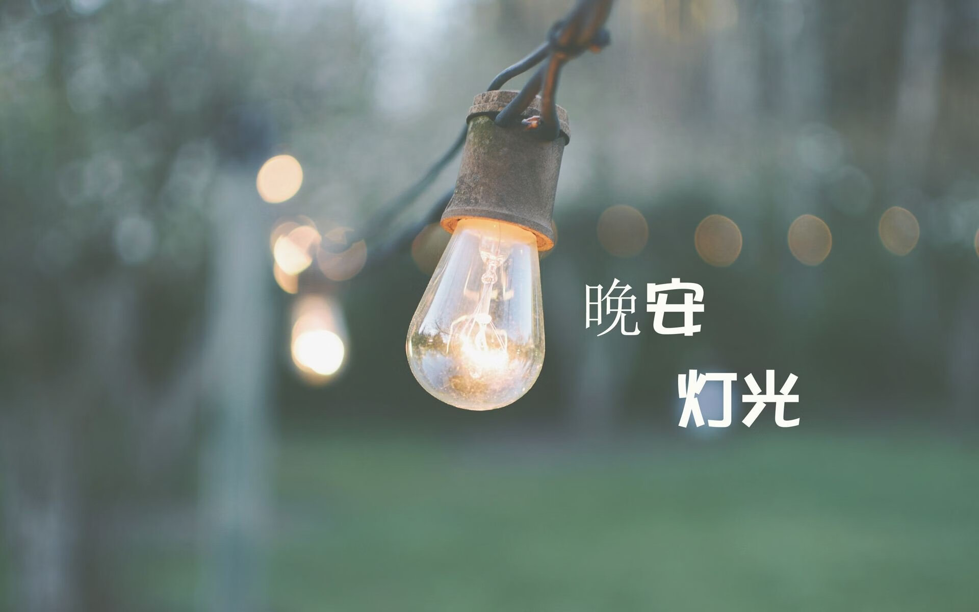 莱万魔咒之夜，2026世界杯焦点战，匈牙利以1%概率绝杀罗马尼亚，神锋演绎孤胆英雄