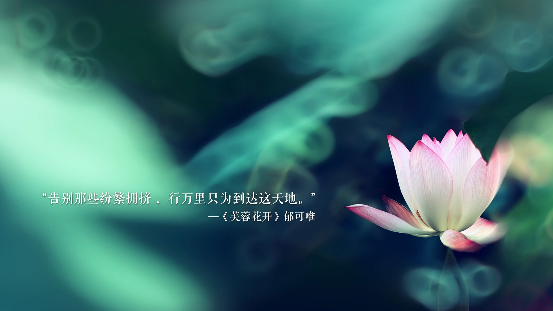 2026世界杯H组，斯洛伐克大胜伊朗的唯一秘籍—魔笛替补献绝杀，波斯铁骑折戟东欧奇兵